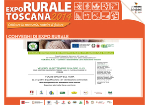 Expo 2014 COMSOLATO