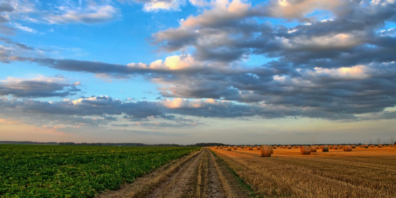 CORSO DI FORMAZIONE: Agricoltura di Precisione