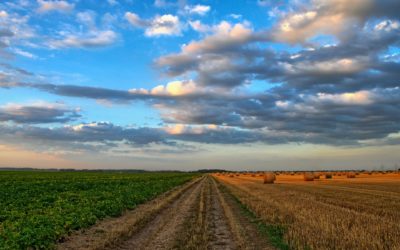 CORSO DI FORMAZIONE: Agricoltura di Precisione