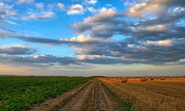 CORSO DI FORMAZIONE: Agricoltura di Precisione