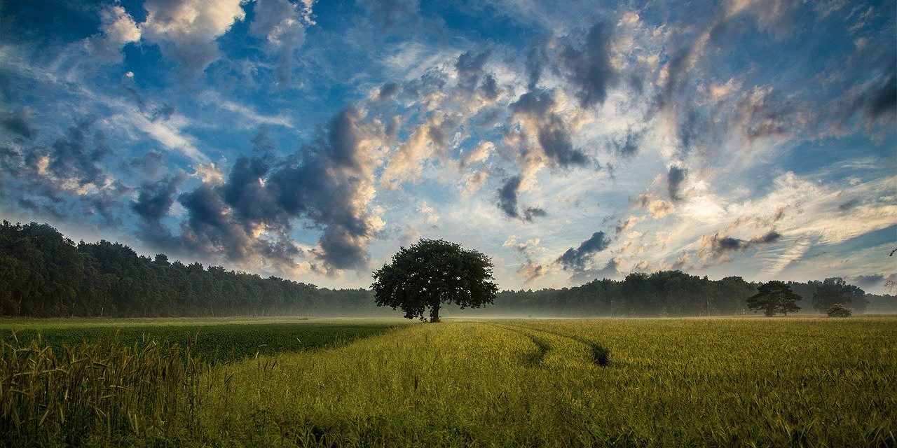 Gestione sostenibile delle risorse per la tutela dell’ambiente (2016)