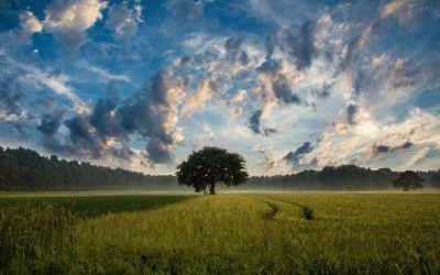 Gestione sostenibile delle risorse per la tutela dell’ambiente (2016)