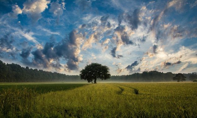 Gestione sostenibile delle risorse per la tutela dell’ambiente (2016)