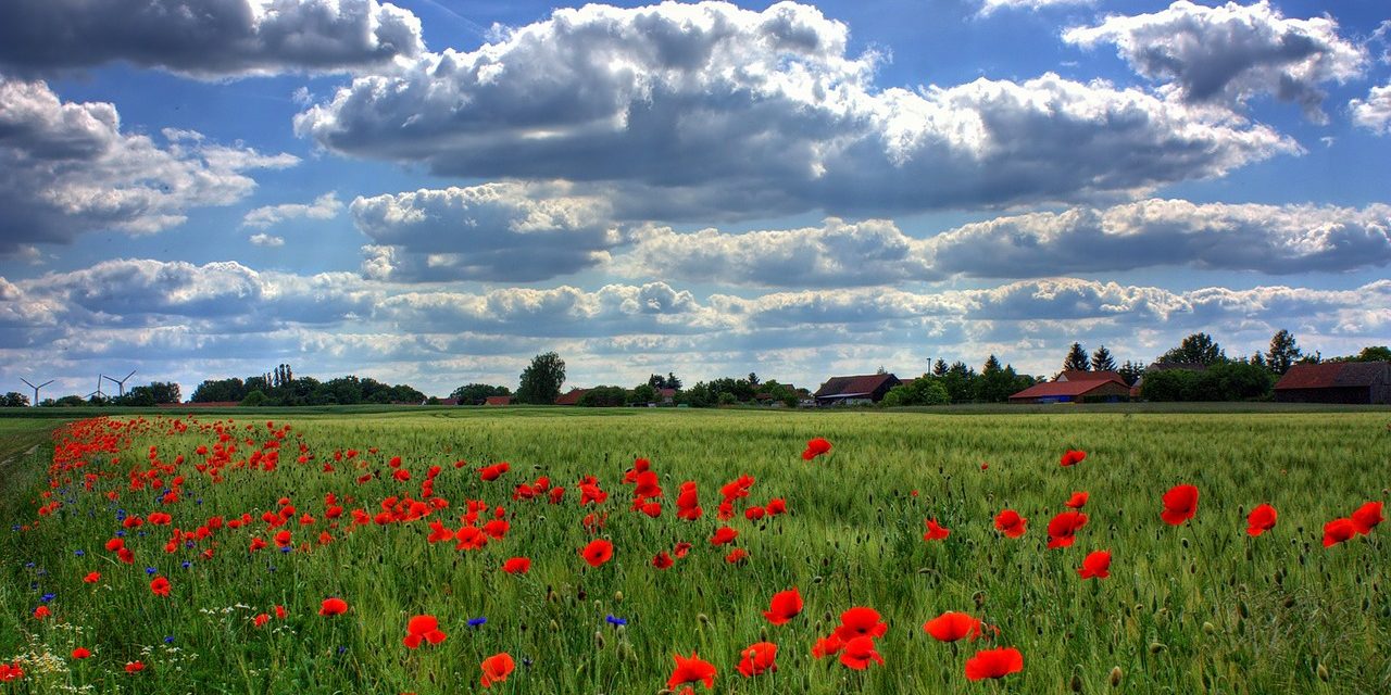 Clima, territori e tradizioni di Toscana (2008)