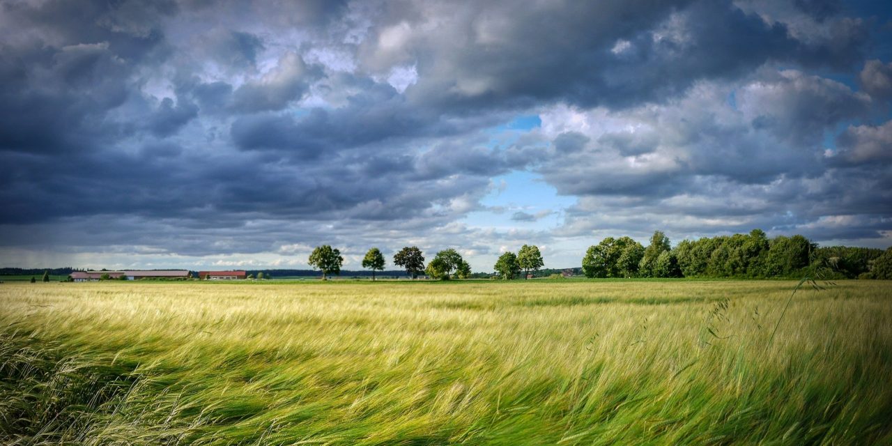 Clima Ambiente Agricoltura (2020)