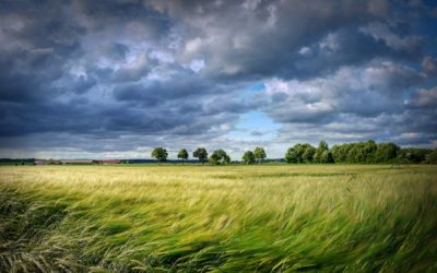 Clima Ambiente Agricoltura (2020)