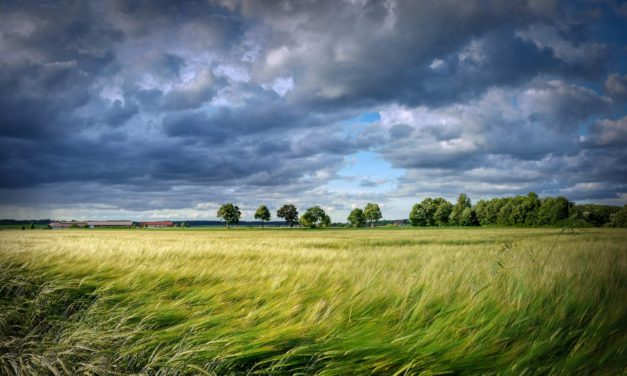 Clima Ambiente Agricoltura (2020)