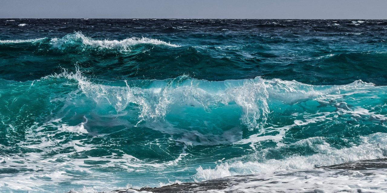 SE SI ALZA IL MARE… La Toscana e i cambiamenti climatici (7 febbraio)