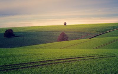 Ciclo di Seminari “Modelli di produzione e consumo sostenibili” (Anno 2021)