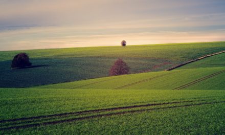 Ciclo di Seminari “Modelli di produzione e consumo sostenibili” (Anno 2021)