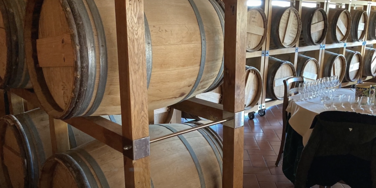 Parliamo del progetto… REVIVAL (Il vino nel legno: la realizzazione dei vasi vinari con legno locale)