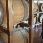Parliamo del progetto… REVIVAL (Il vino nel legno: la realizzazione dei vasi vinari con legno locale)