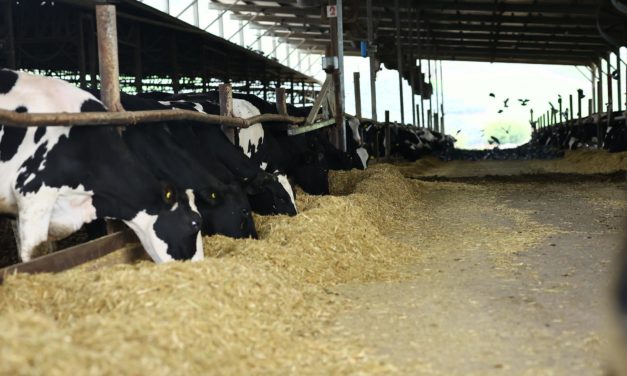 Parliamo del progetto… MILKLIMAT (Sistemi di precisione automatizzati nella gestione dell’allevamento bovino da latte in Mugello per far fronte ai cambiamenti climatici)
