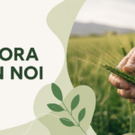 Ricerca figura di supporto per il Progetto CORBI -Selezioni chiuse