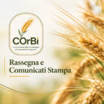 COrBi sui media: articoli e comunicati stampa