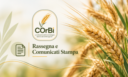 COrBi sui media: articoli e comunicati stampa