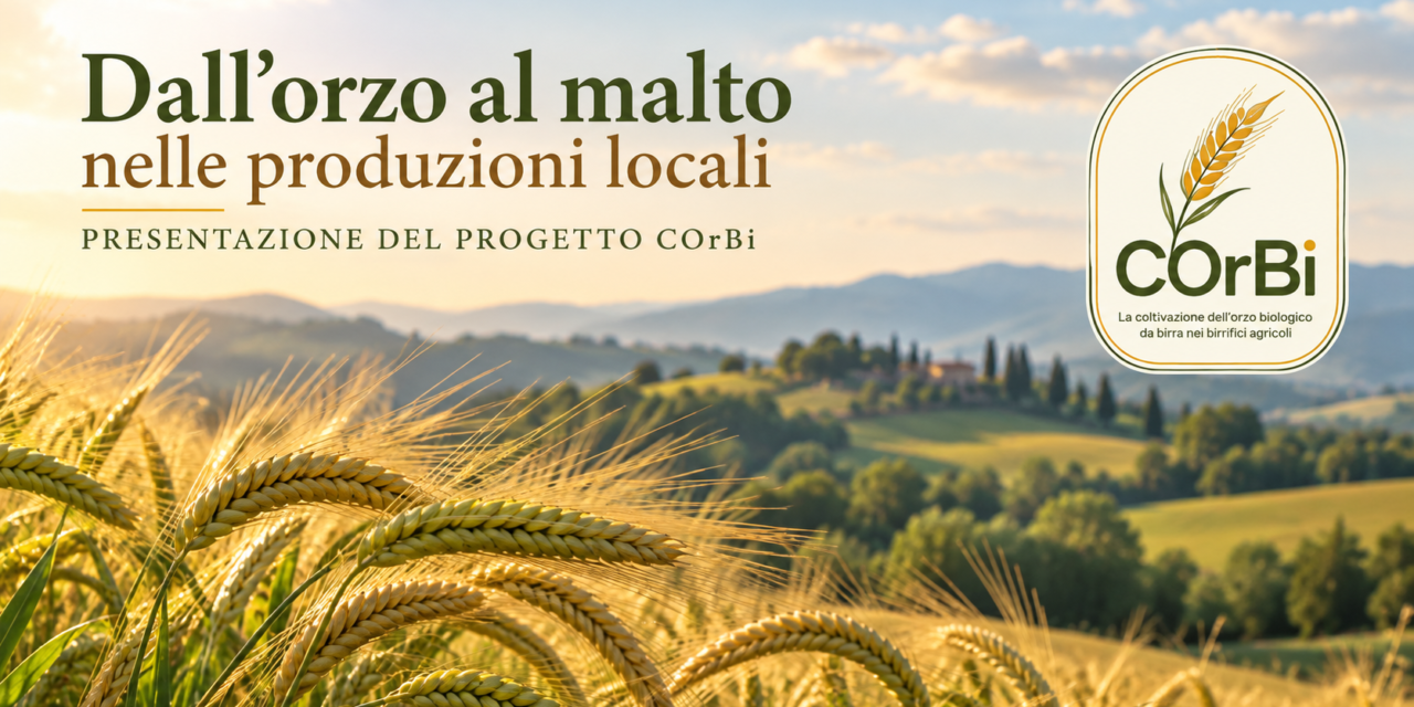Dall’orzo al malto nelle produzioni locali: il 10 settembre la presentazione di COrBi