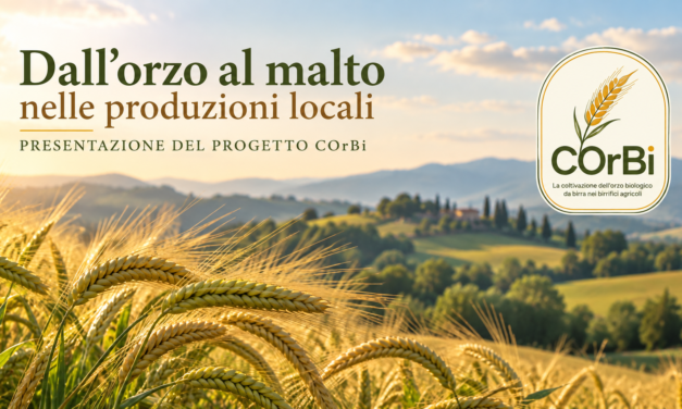 Dall’orzo al malto nelle produzioni locali: il 10 settembre la presentazione di COrBi