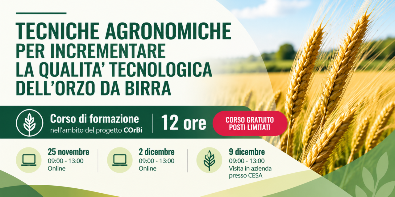 COrBi, al via il corso sulle tecniche agronomiche per migliorare la qualità dell’orzo da birra