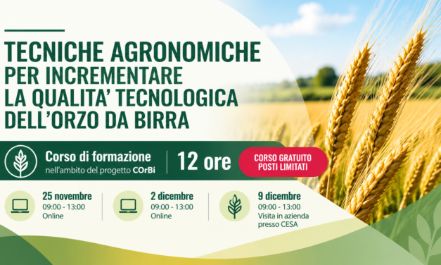 COrBi, al via il corso sulle tecniche agronomiche per migliorare la qualità dell’orzo da birra